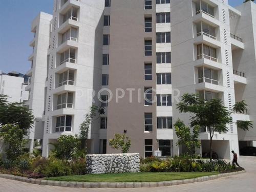  ritz Images for Elevation of Marvel Realtors Ritz