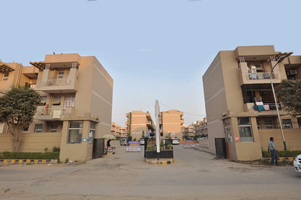 the lilac Images for Elevation of SS The Lilac