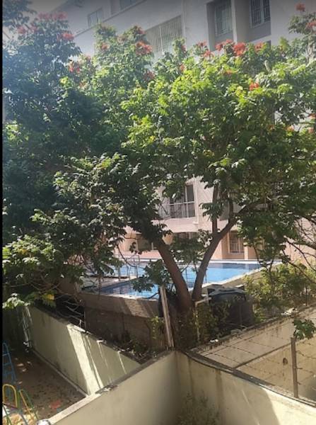  admiralty-square Swimming Pool