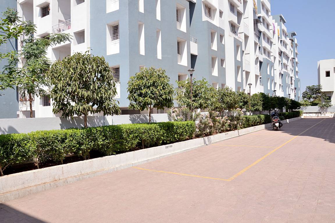  dreamville Elevation