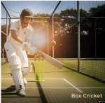  highland-gardens Cricket arena