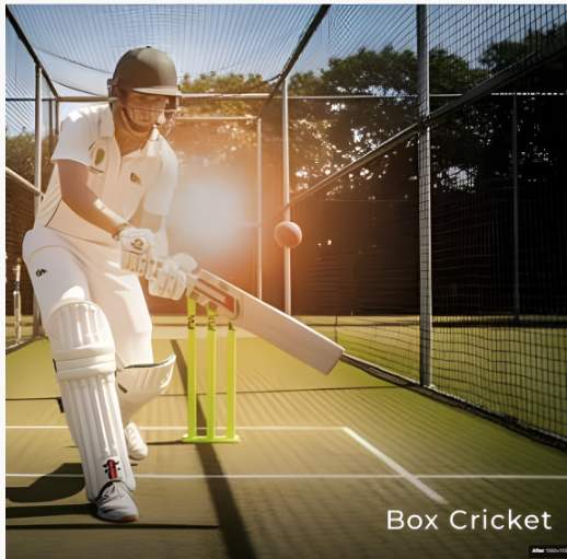 highland gardens Cricket arena