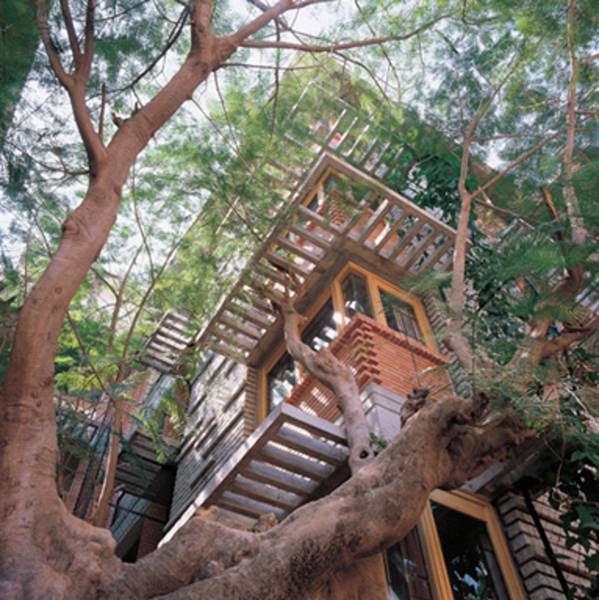 Images for Elevation of Total Environment The Good Earth Images for Elevation of Total Environment The Good Earth