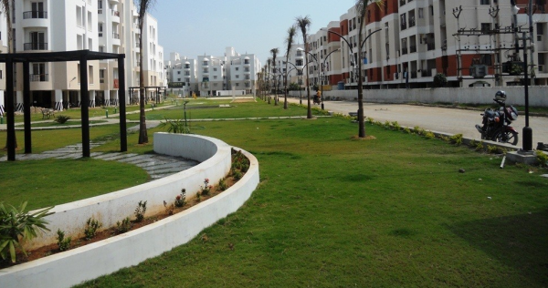 Others sunderbans Others