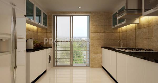 Images for Main Other of Romell Aether aether Images for Main Other of Romell Aether