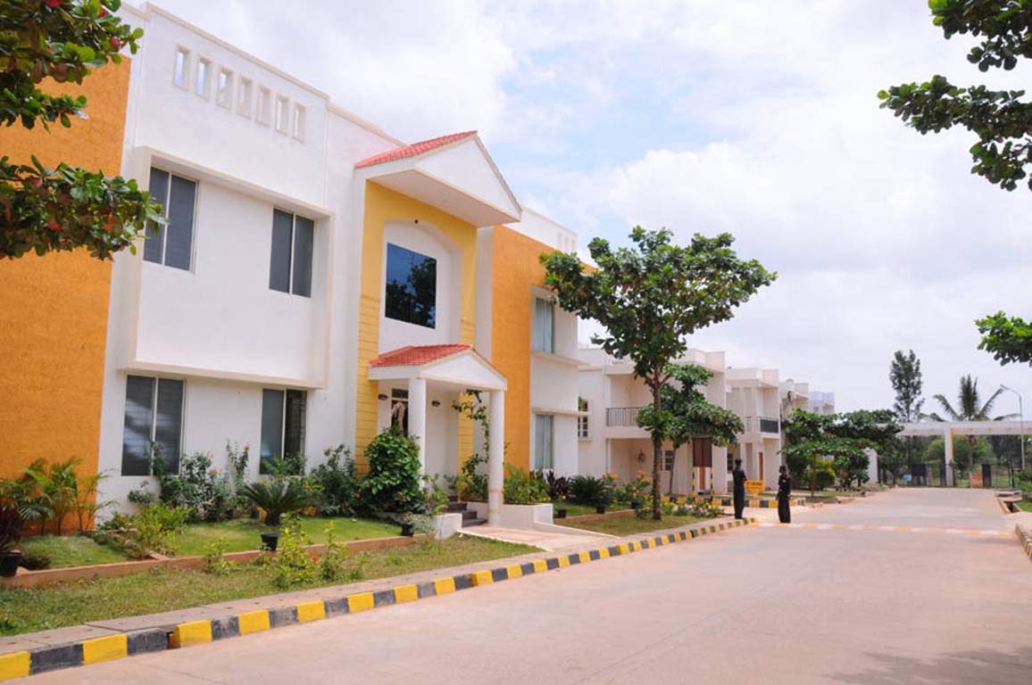  passiflora Images for Elevation of Peninsula Infra Passiflora