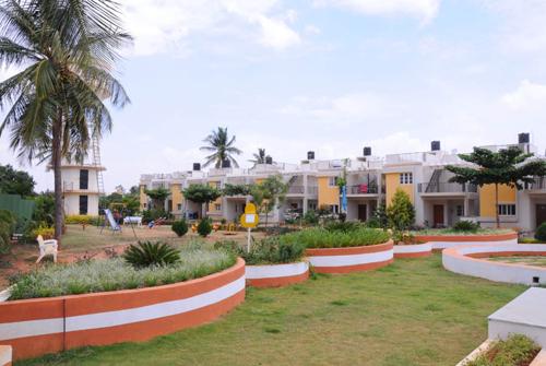  passiflora Images for Elevation of Peninsula Infra Passiflora