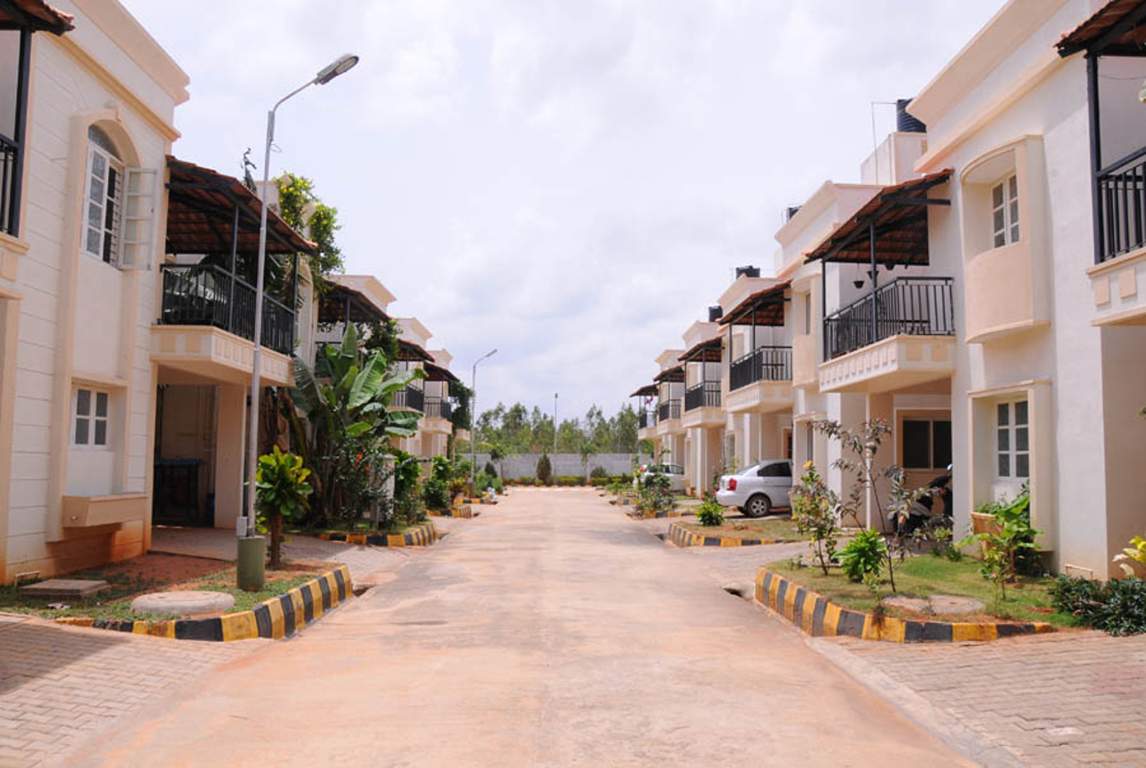  passiflora Images for Elevation of Peninsula Infra Passiflora