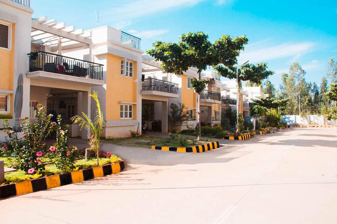  passiflora Images for Elevation of Peninsula Infra Passiflora