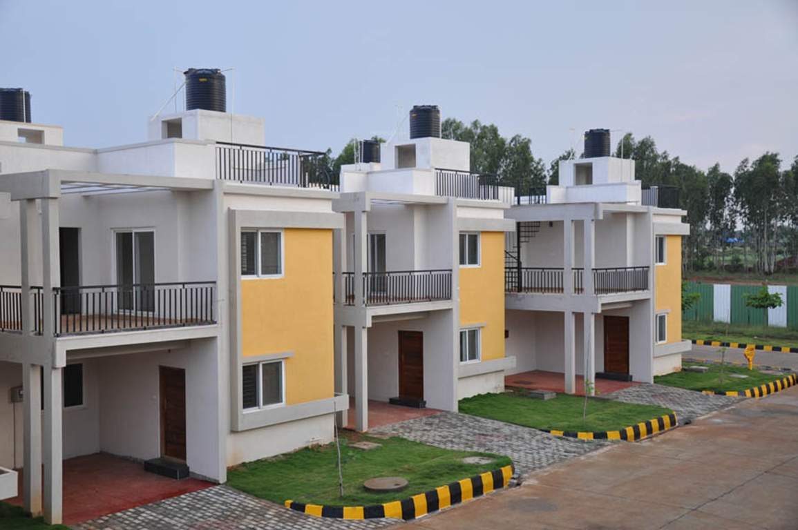  passiflora Images for Elevation of Peninsula Infra Passiflora