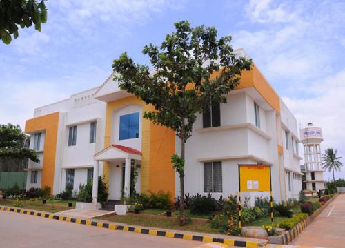  passiflora Images for Elevation of Peninsula Infra Passiflora