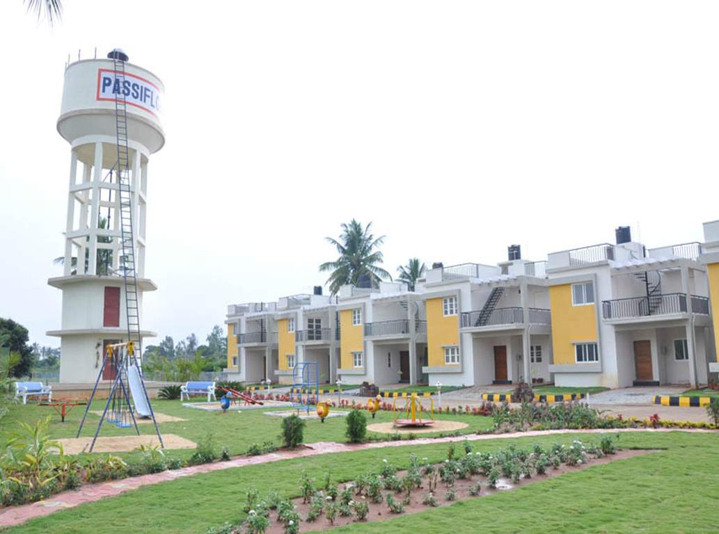  passiflora Images for Elevation of Peninsula Infra Passiflora