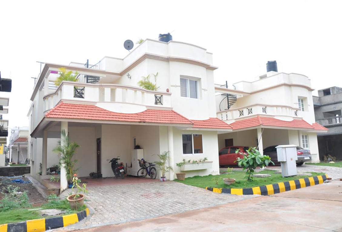  passiflora Images for Elevation of Peninsula Infra Passiflora