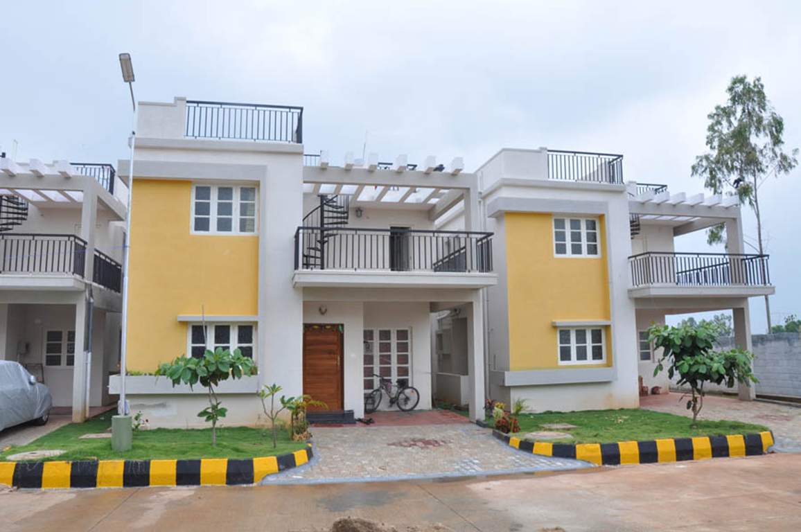  passiflora Images for Elevation of Peninsula Infra Passiflora