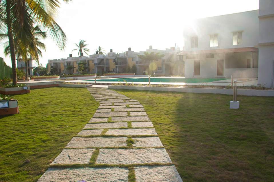  passiflora Images for Amenities of Peninsula Infra Passiflora