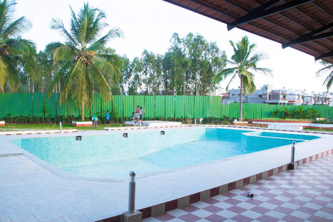  passiflora Images for Amenities of Peninsula Infra Passiflora