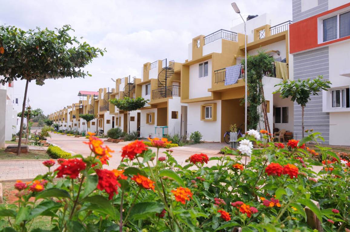 Images for Elevation of Peninsula Parkville