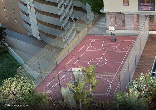 Basketball Court habitat Basketball Court