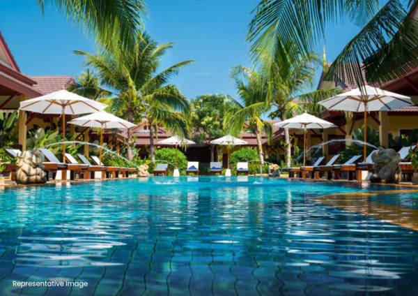 Swimming Pool habitat Swimming Pool