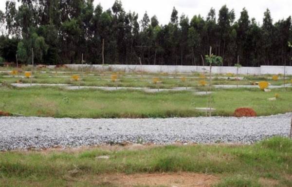  grand-icon Elevation