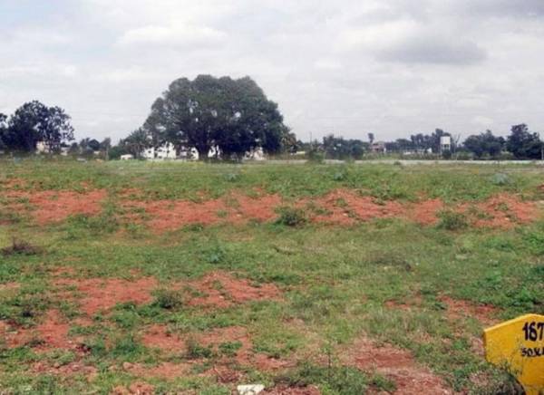  grand-icon Elevation