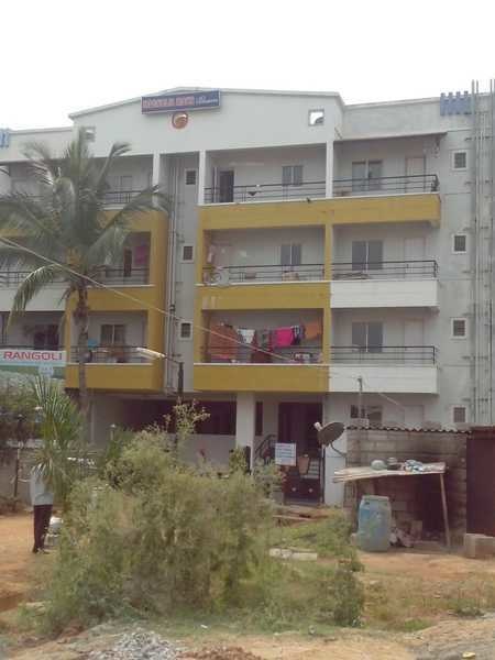  maks-blossom Elevation