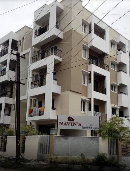  jasmine-buds Elevation