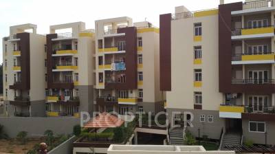 Images for Elevation of Lotus Petals