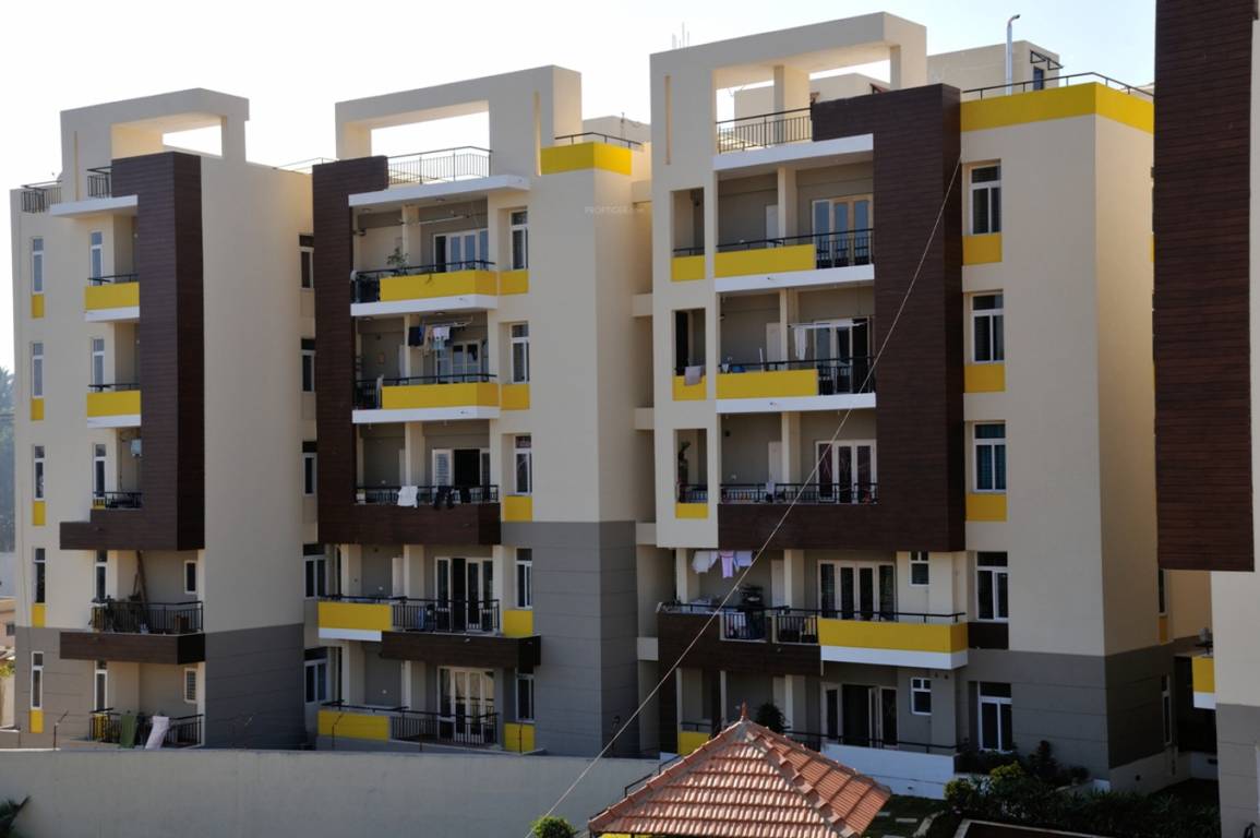 Images for Elevation of Lotus Petals