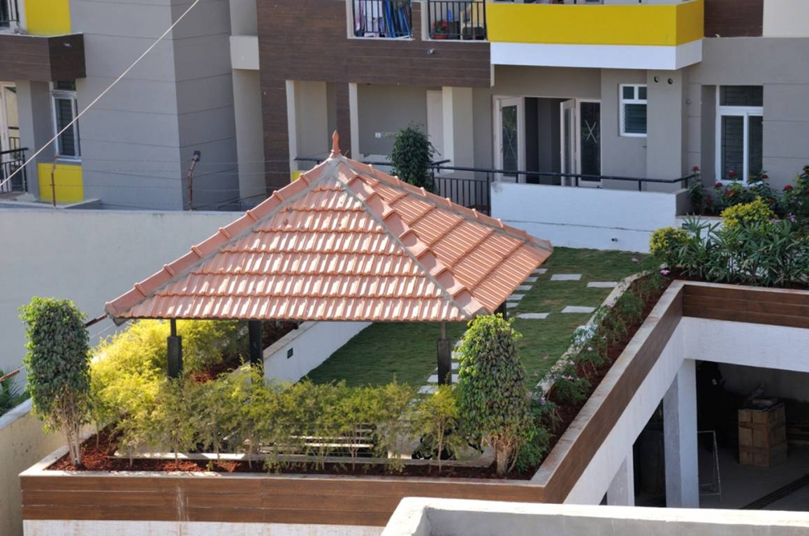 Images for Elevation of Lotus Petals