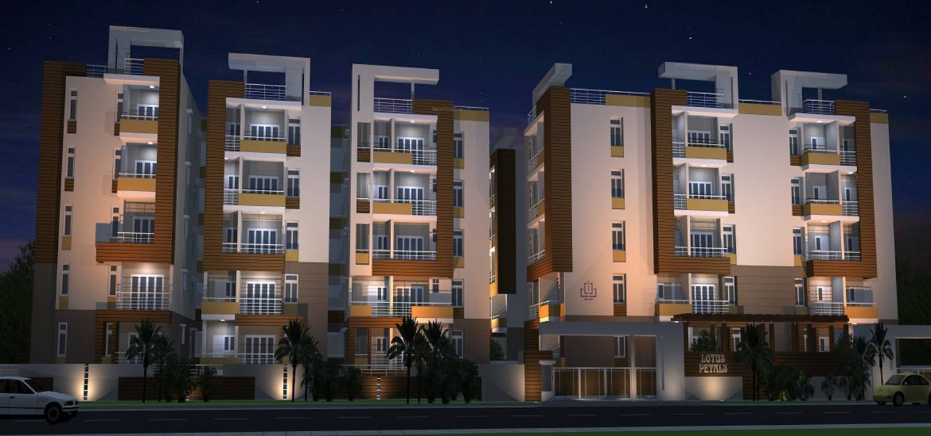 Images for Elevation of Lotus Petals