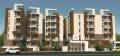 Lotus Developers Petals