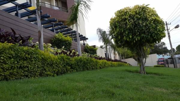 Images for Amenities of Lotus Petals