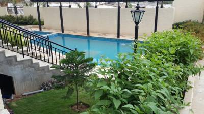 Images for Amenities of Lotus Petals