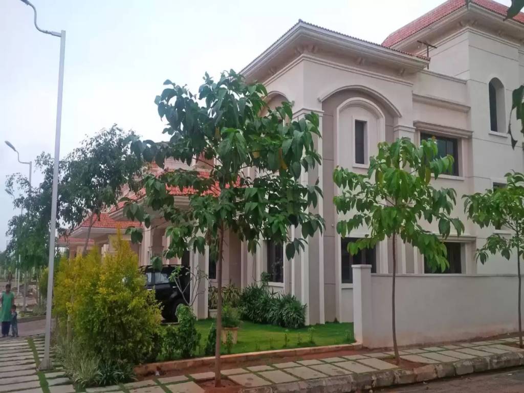  dews ville Elevation