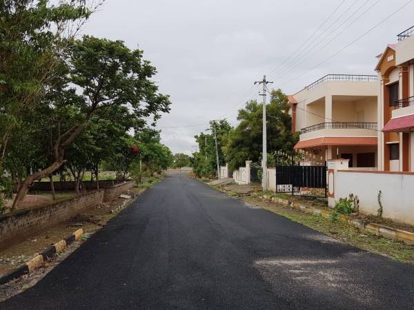  asian-township Internal Roads