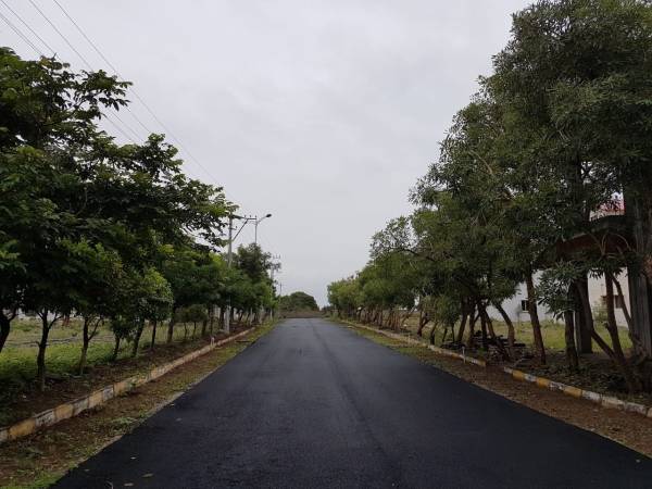  asian-township Internal Roads