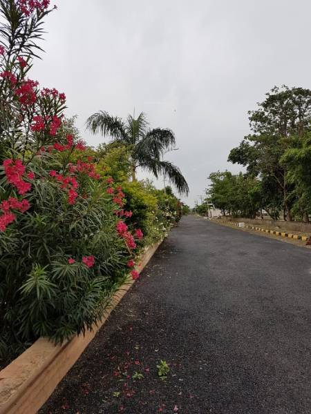  asian-township Internal Roads