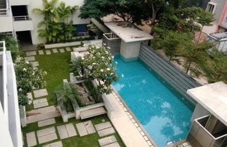  whistling-court Others