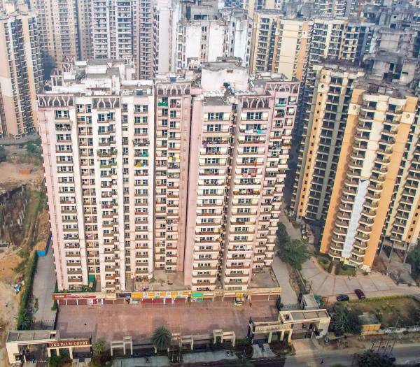 Elevation palm-court Elevation