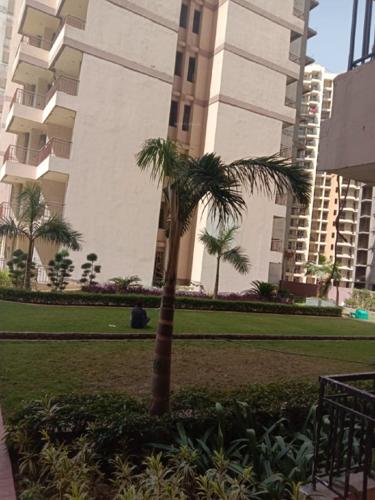  palm-court Landscape Garden and Tree Planting