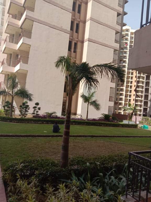  palm court Landscape Garden and Tree Planting