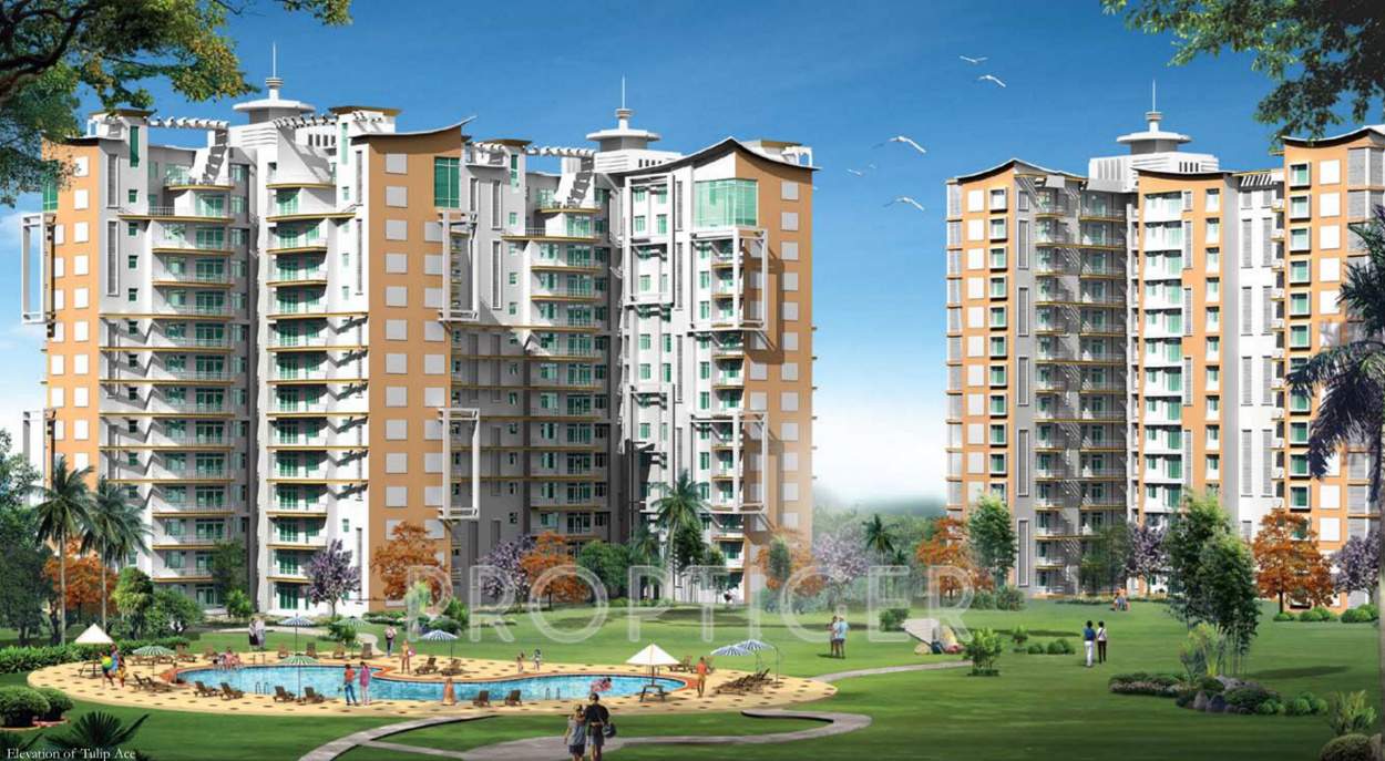 ace Images for Elevation of Tulip Ace