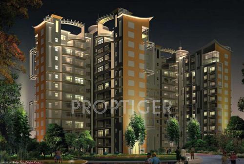  ace Images for Elevation of Tulip Ace