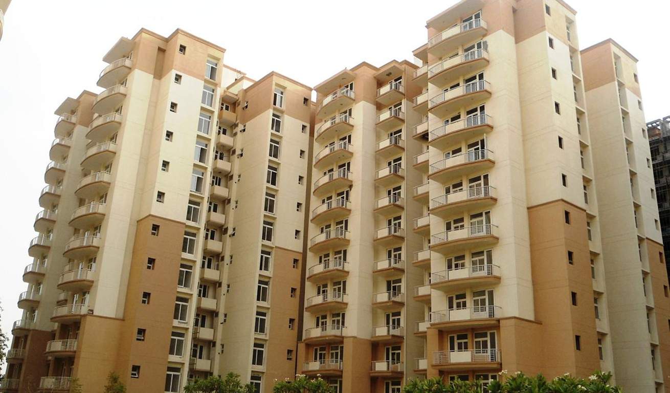  petals Images for Elevation of Tulip Petals