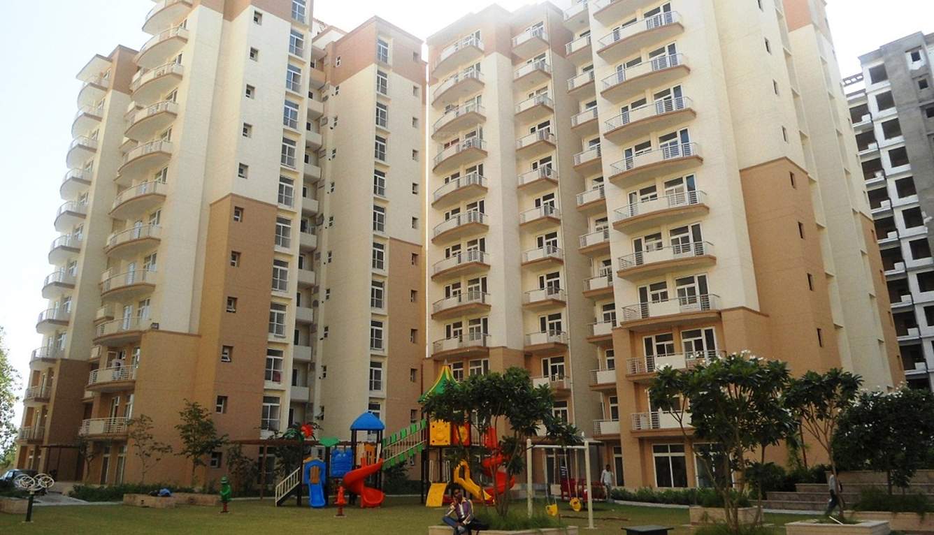  petals Images for Elevation of Tulip Petals