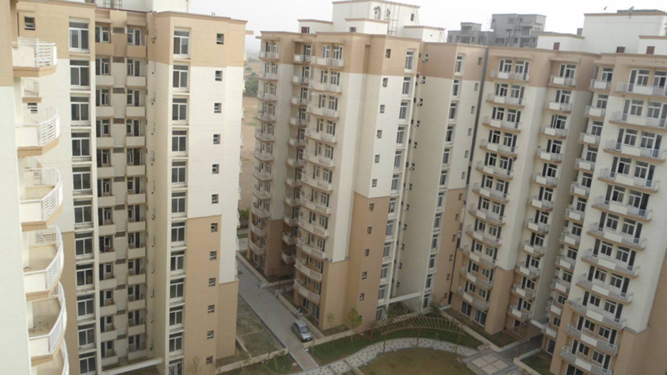  petals Images for Project