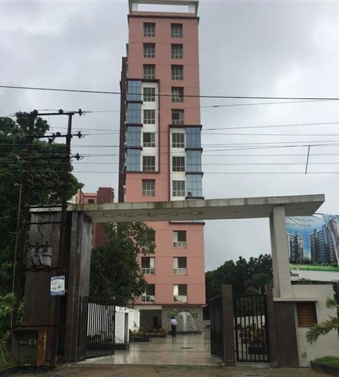 springfield Elevation