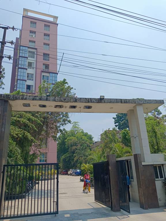 springfield Elevation