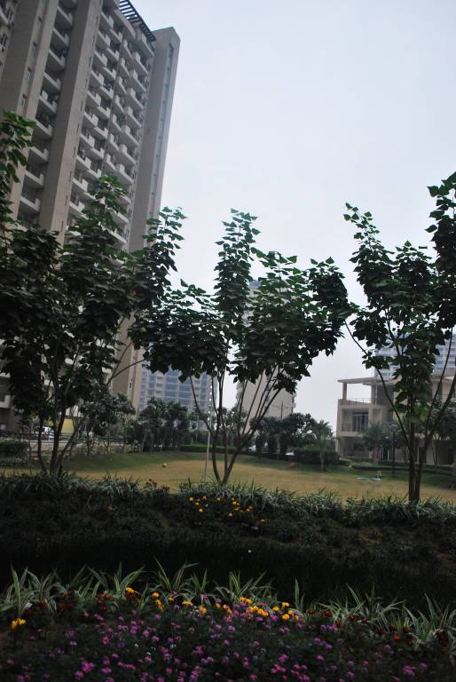 Images for Amenities of Mapsko Casa Bella